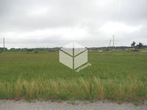 Terreno nos Morros, Figueira da Foz