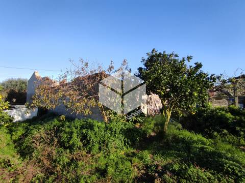 Pipelo – Moradia para Reconstrução