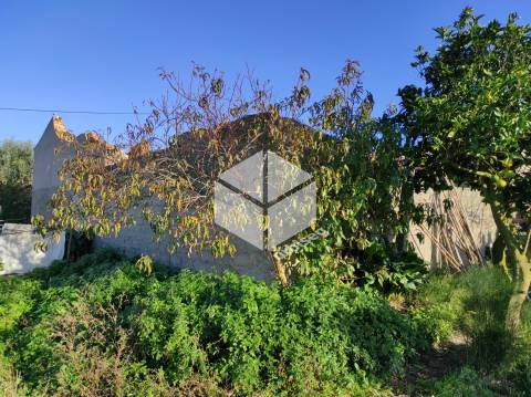 Pipelo – Moradia para Reconstrução