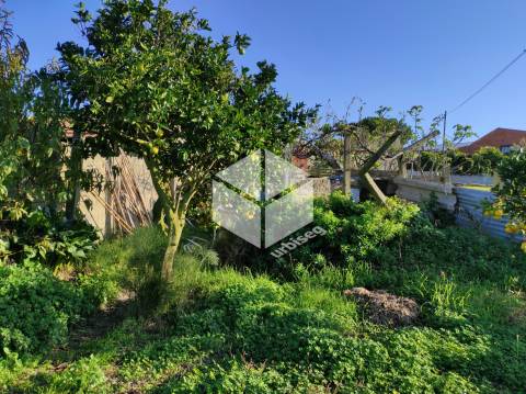 Pipelo – Moradia para Reconstrução