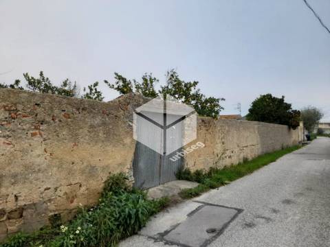 Carvalhais de Lavos - Propriedade com 10 090 m2