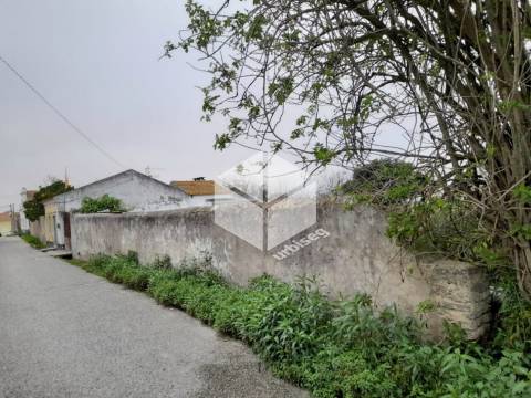 Carvalhais de Lavos - Propriedade com 10 090 m2