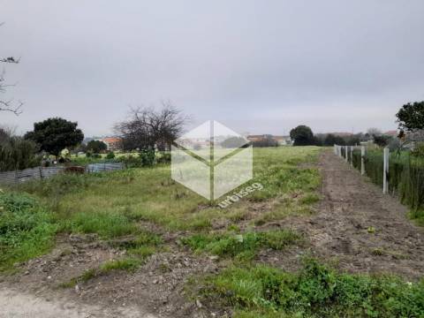Carvalhais de Lavos - Propriedade com 10 090 m2