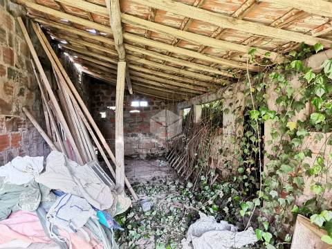 REGALHEIRAS - Figueira da Foz