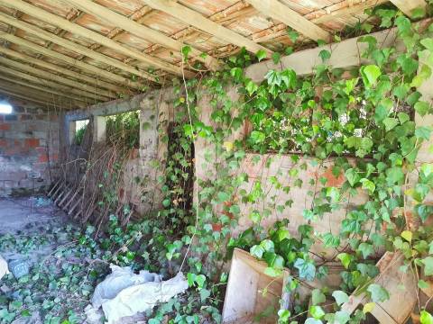 REGALHEIRAS - Figueira da Foz