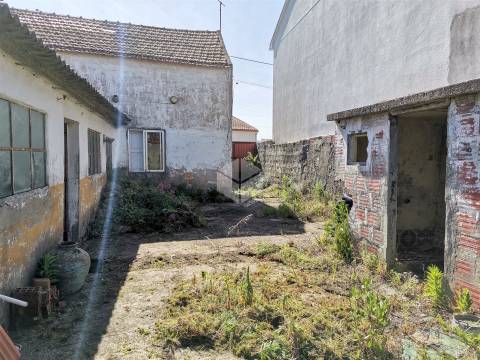 REGALHEIRAS - Figueira da Foz