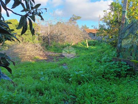 Moradias para Reconstrução – PEREIRÕES, TOCHA