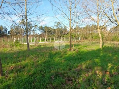 Moradias para Reconstrução – PEREIRÕES, TOCHA