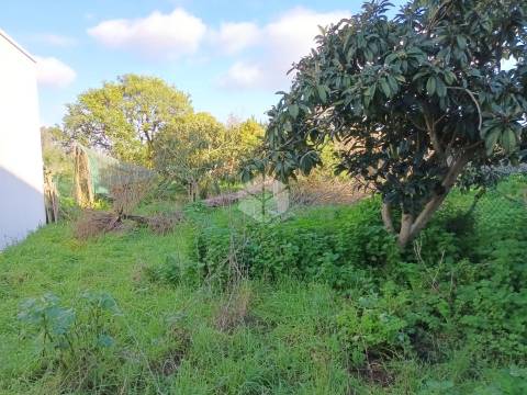 Moradias para Reconstrução – PEREIRÕES, TOCHA