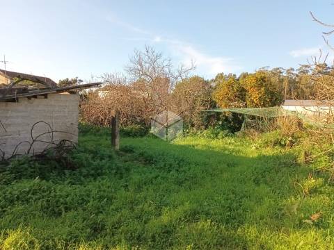 Moradias para Reconstrução – PEREIRÕES, TOCHA