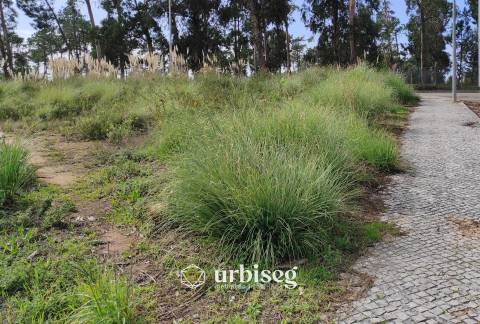 Terreno para Moradia Isolada nos Condados | 360m² | Figueira da Foz | Urbiseg Imobiliária