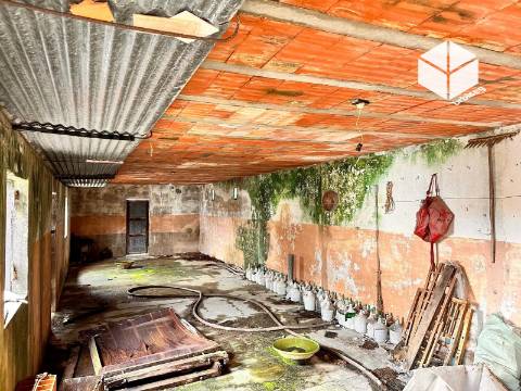 VINHA DA RAINHA- PRÉDIO 295M2