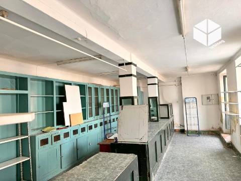 VINHA DA RAINHA- PRÉDIO 295M2