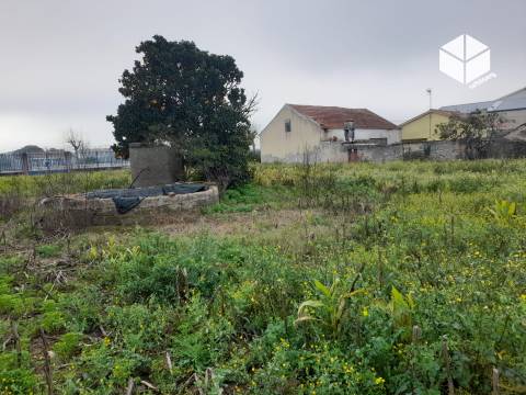 Moradia T3 no centro do Paião- 3112m2