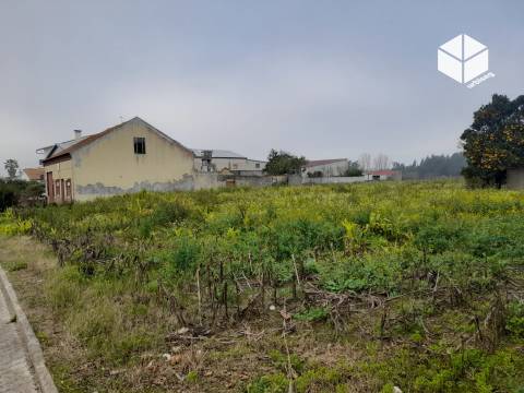 Moradia T3 no centro do Paião- 3112m2