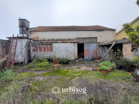 Moradia T3 com Terreno de 3112 m² no Centro do Paião, Oportunidade com Enorme Potencial