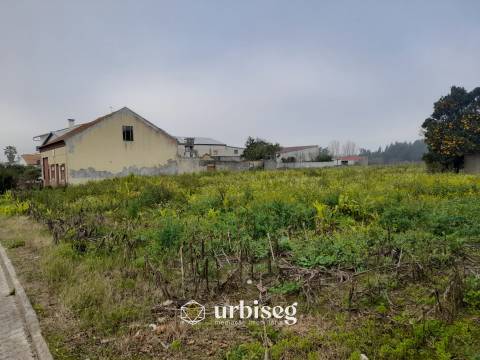 Moradia T3 com Terreno de 3112 m² no Centro do Paião, Oportunidade com Enorme Potencial