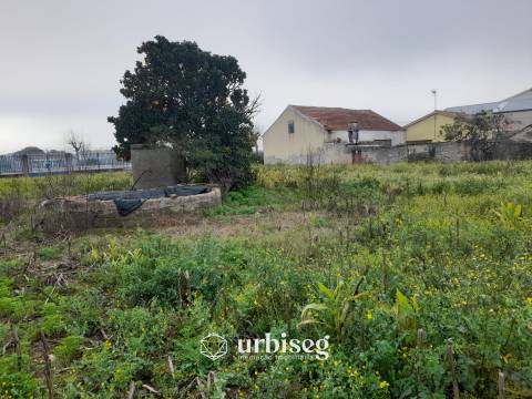 Moradia T3 com Terreno de 3112 m² no Centro do Paião, Oportunidade com Enorme Potencial