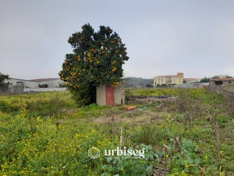 Moradia T3 com Terreno de 3112 m² no Centro do Paião, Oportunidade com Enorme Potencial