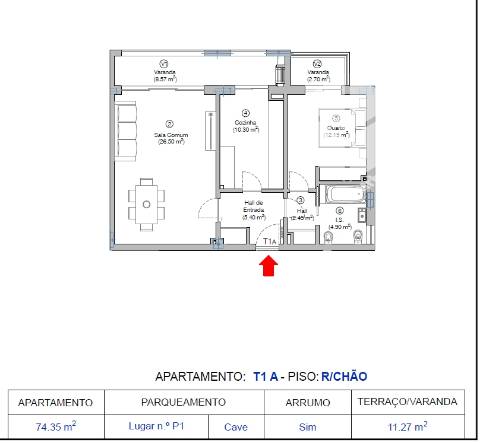 T1+ AP+ ARRUMO - Na cidade da Figueira da Foz