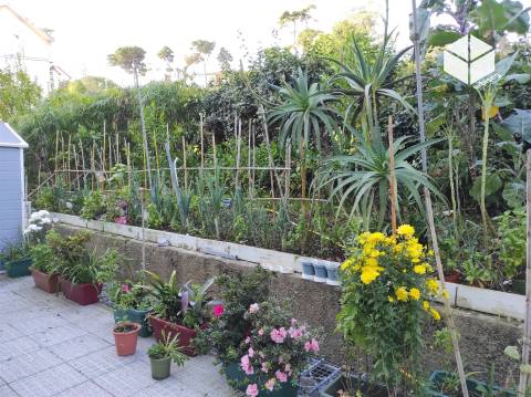 ZONA RESIDENCIAL - Apartamento T3