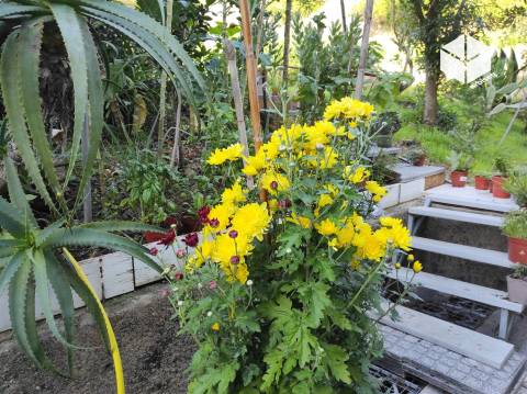 ZONA RESIDENCIAL - Apartamento T3