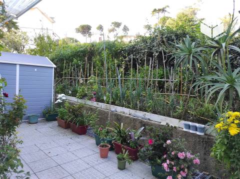 ZONA RESIDENCIAL - Apartamento T3