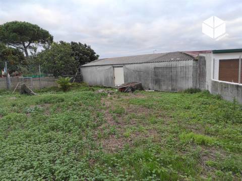 TERRENO URBANO no Centro da Povoação