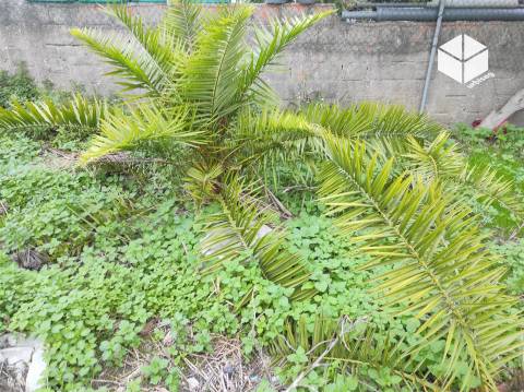 TERRENO URBANO no Centro da Povoação