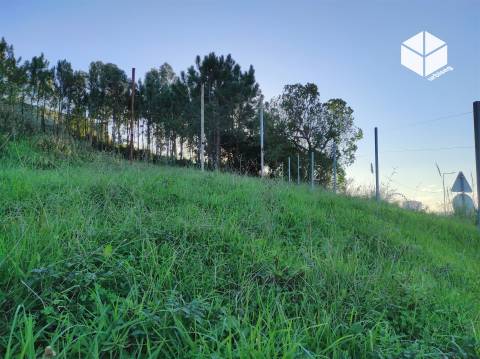 TAVAREDE  _ TERRENO URBANIZÁVEL NA CHÃ COM 4412 M2