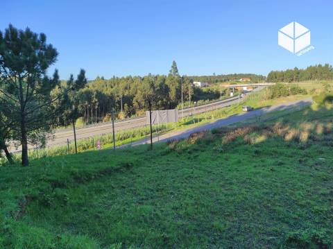 TAVAREDE  _ TERRENO URBANIZÁVEL NA CHÃ COM 4412 M2