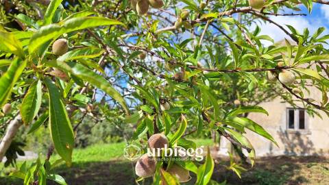 Moradia para Reconstrução | Serra das Alhadas