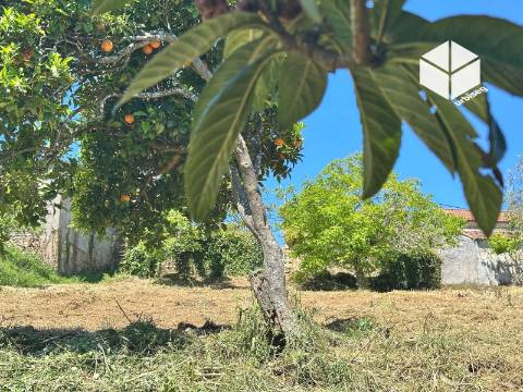 VALADA / GESTEIRA – PROPRIEDADE COM  1.297 m²