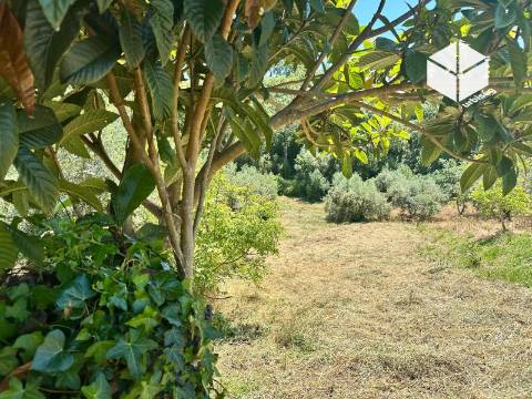 VALADA / GESTEIRA – PROPRIEDADE COM  1.297 m²