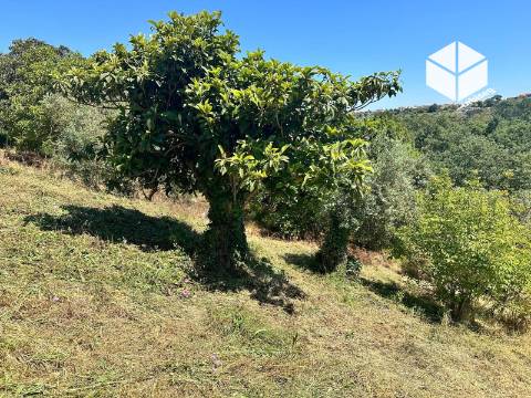 VALADA / GESTEIRA – PROPRIEDADE COM  1.297 m²