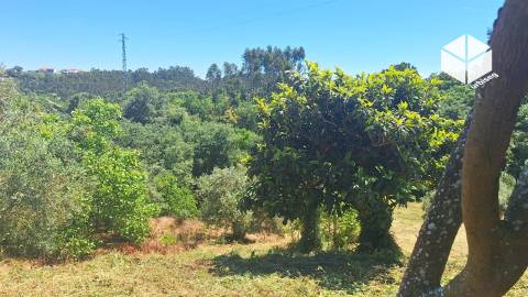 VALADA / GESTEIRA – PROPRIEDADE COM  1.297 m²