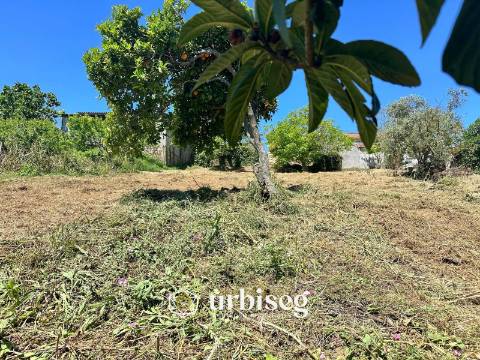 Propriedade para Reabilitação em Gesteira, Soure | Urbiseg Imobiliária