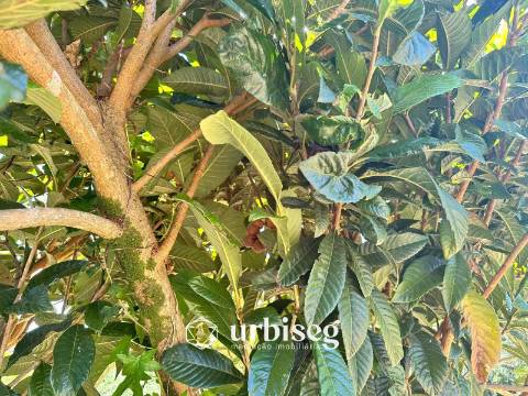 Propriedade para Reabilitação em Gesteira, Soure | Urbiseg Imobiliária