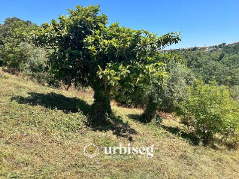Propriedade para Reabilitação em Gesteira, Soure | Urbiseg Imobiliária
