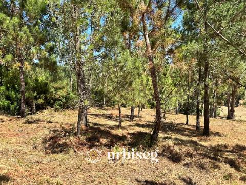 Terreno Rústico – Rua da Emide, Figueira da Foz