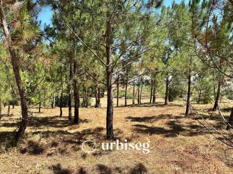 Terreno Rústico – Rua da Emide, Figueira da Foz