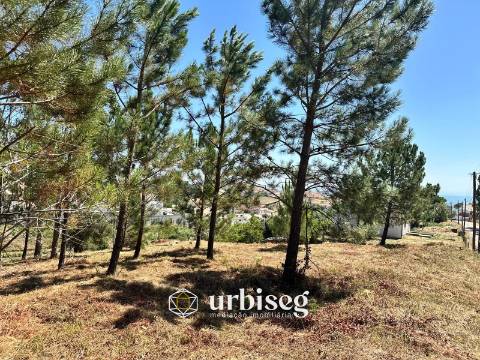 Terreno Rústico – Rua da Emide, Figueira da Foz