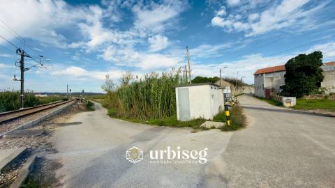 Casa de Adega e Alambique – Moinho de Almoxarife, entre Soure e Figueira da Foz