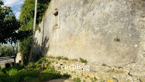 Casa de Adega e Alambique – Moinho de Almoxarife, entre Soure e Figueira da Foz