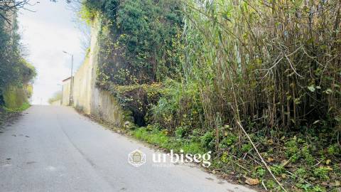 Casa de Adega e Alambique – Moinho de Almoxarife, entre Soure e Figueira da Foz