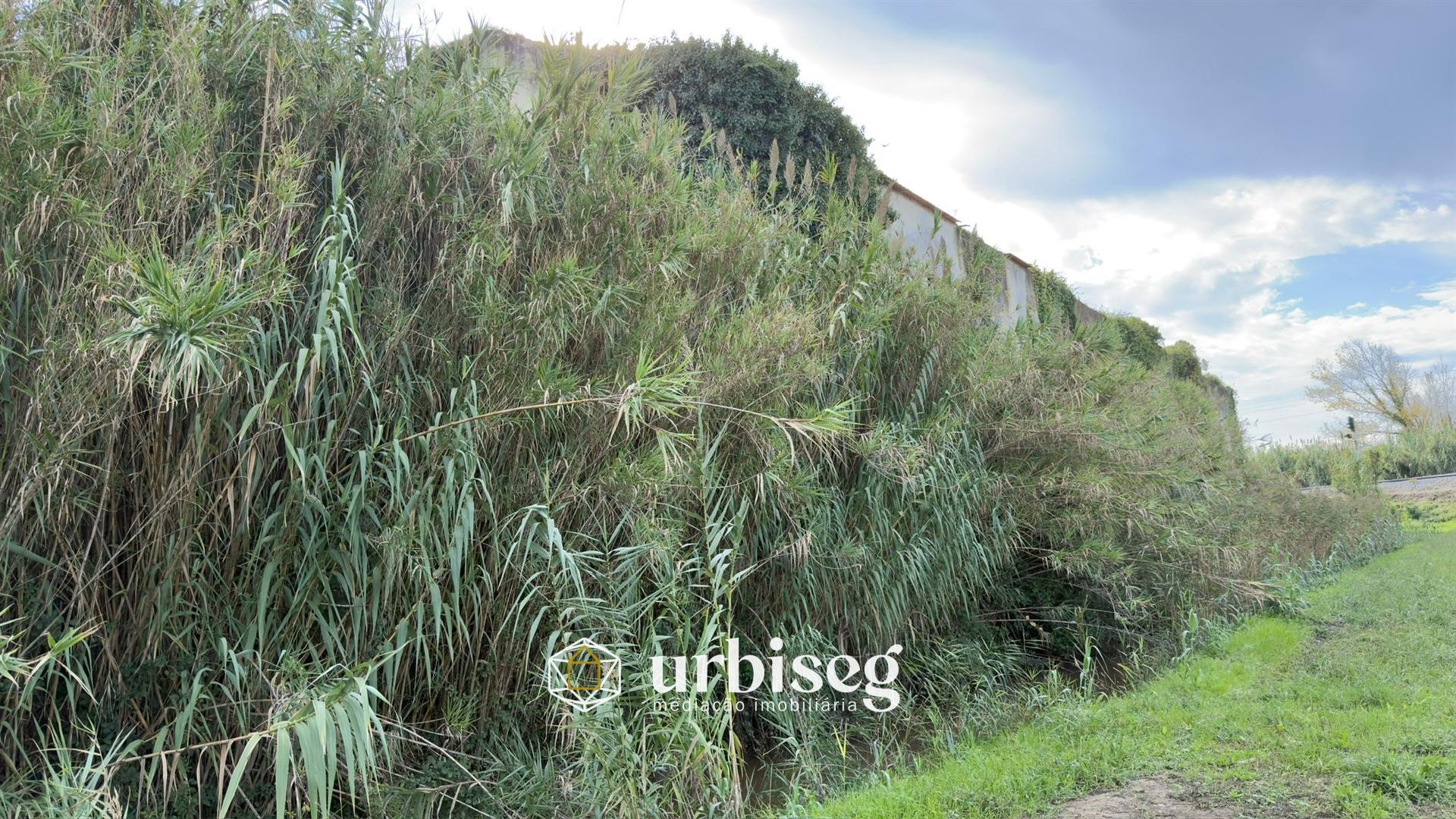 Casa de Adega e Alambique – Moinho de Almoxarife, entre Soure e Figueira da Foz