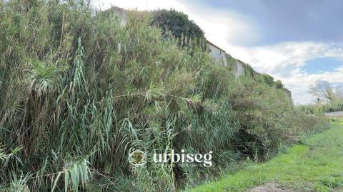 Casa de Adega e Alambique – Moinho de Almoxarife, entre Soure e Figueira da Foz