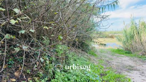 Casa de Adega e Alambique – Moinho de Almoxarife, entre Soure e Figueira da Foz