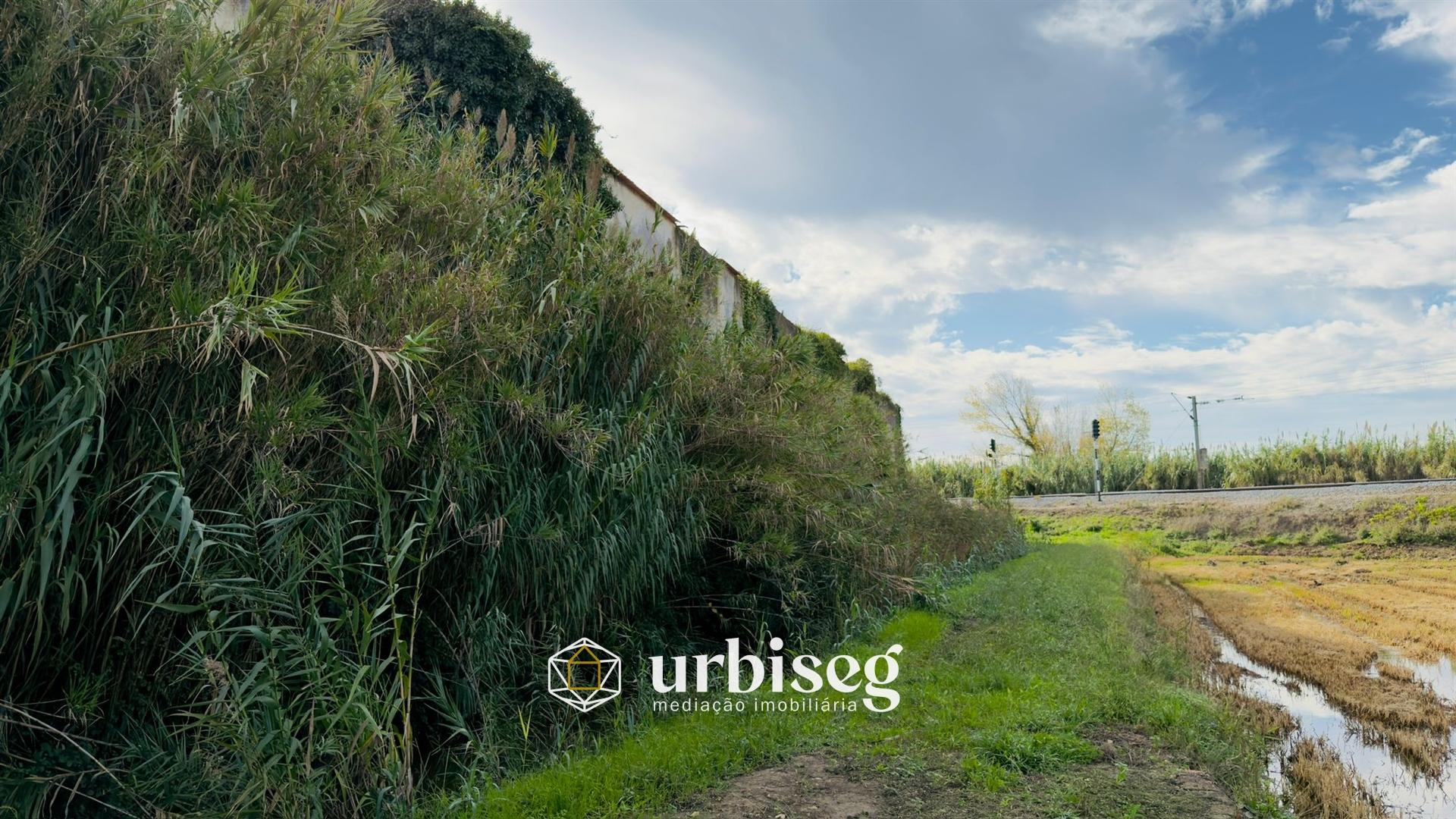 Casa de Adega e Alambique – Moinho de Almoxarife, entre Soure e Figueira da Foz