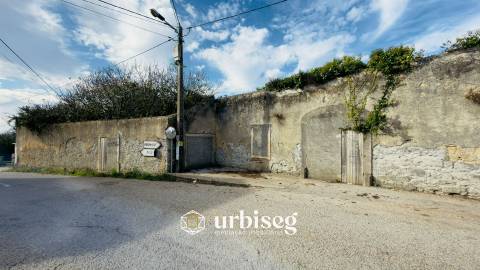 Casa de Adega e Alambique – Moinho de Almoxarife, entre Soure e Figueira da Foz